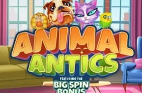 Animal Antics