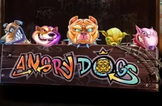 Angry Dogs